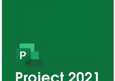 Curso de Microsoft® Project Professional